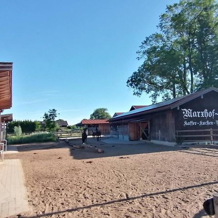 סיאון-זיברוק Tiny X Im Marxhof Seebruck Am Chiemsee מראה חיצוני תמונה